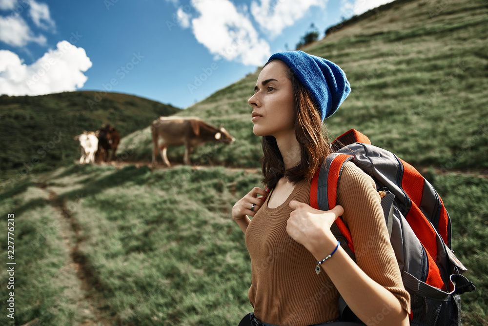 Focus on waist up profile portrait of relaxed lady standing and carrying backpack. She having active time in wild nature where cows are feeding grass