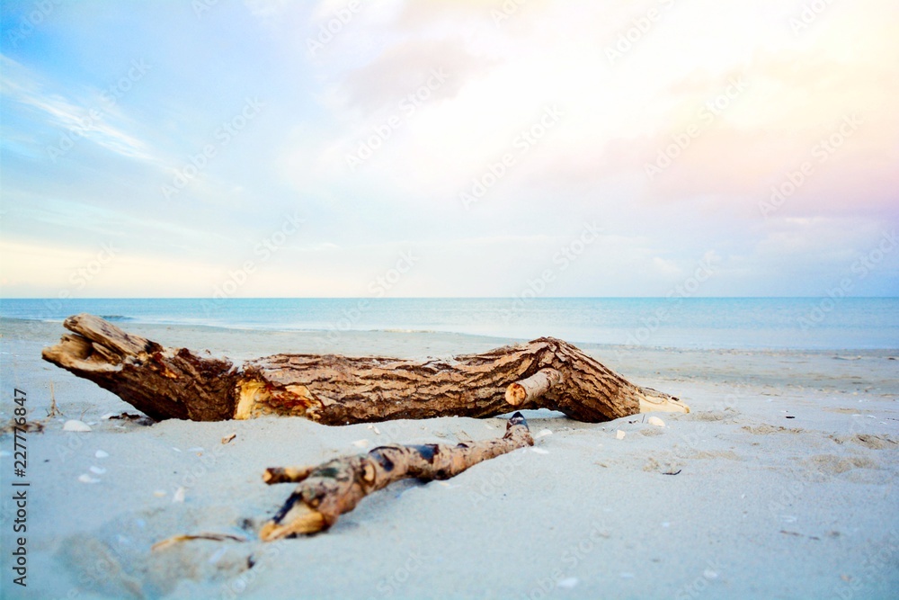 Grußkarte - Strandurlaub - Strand mit Muscheln