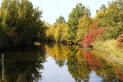 Spiegelung der Bäume im See