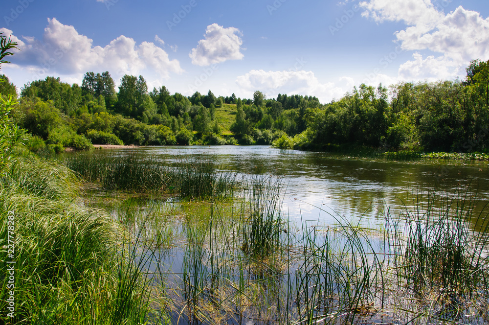 Little river in wild lands among hills overgrown by forest at summer day