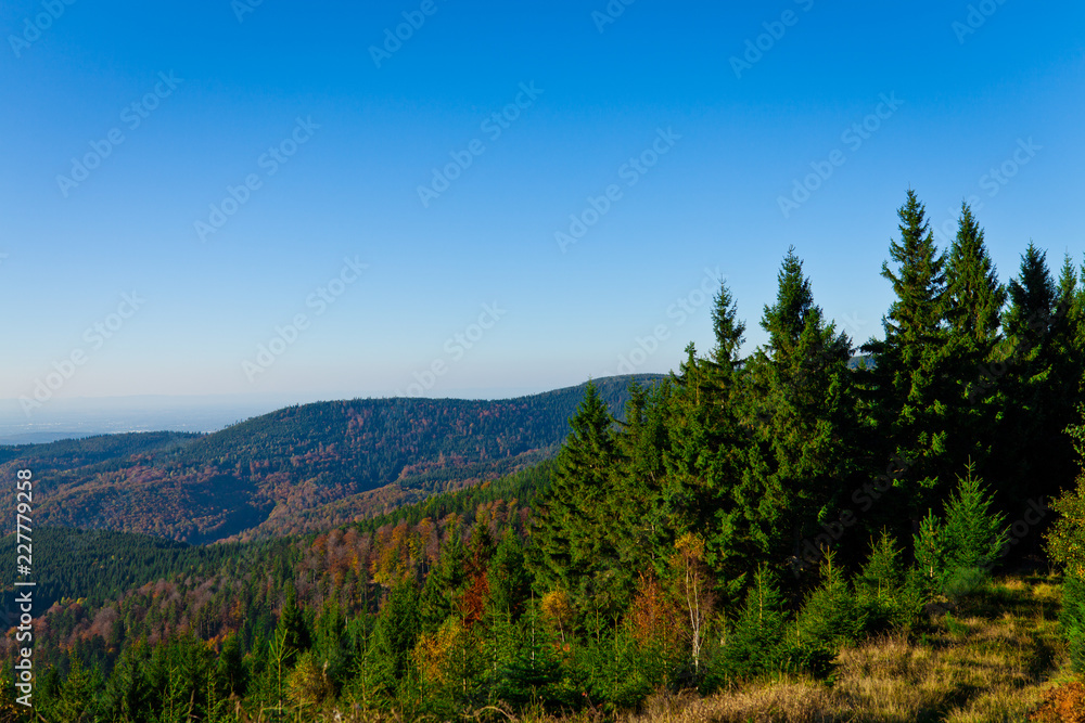 Herrliche Aussicht über den Schwarzwald