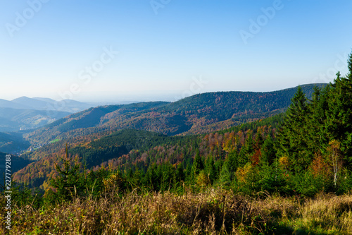 Herrliche Aussicht über den Schwarzwald © Lenslife