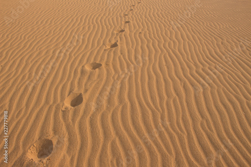 footsteps in the sand of a desert
