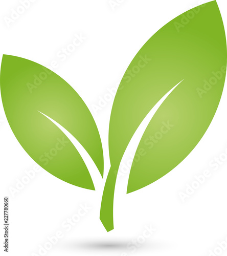 Zwei Blätter, Pflanze, Gärtner, Logo, Icon