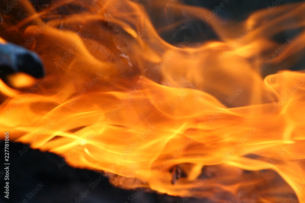 Close-up flames of fire on the campfire Close-up flames of fire on the campfire