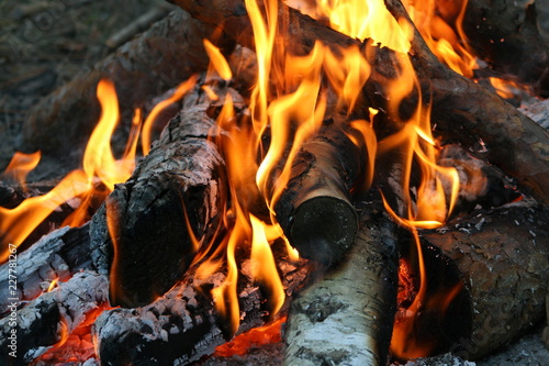 Burning and smoking wood logs