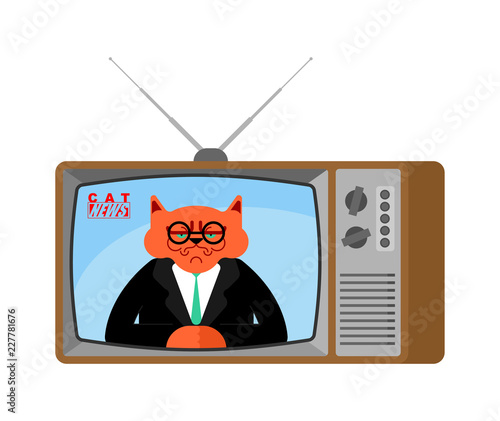 Cat news old tv. Pet Live broadcasting. Animal broadcasting journalist. Beast Anchorman in tv studio.