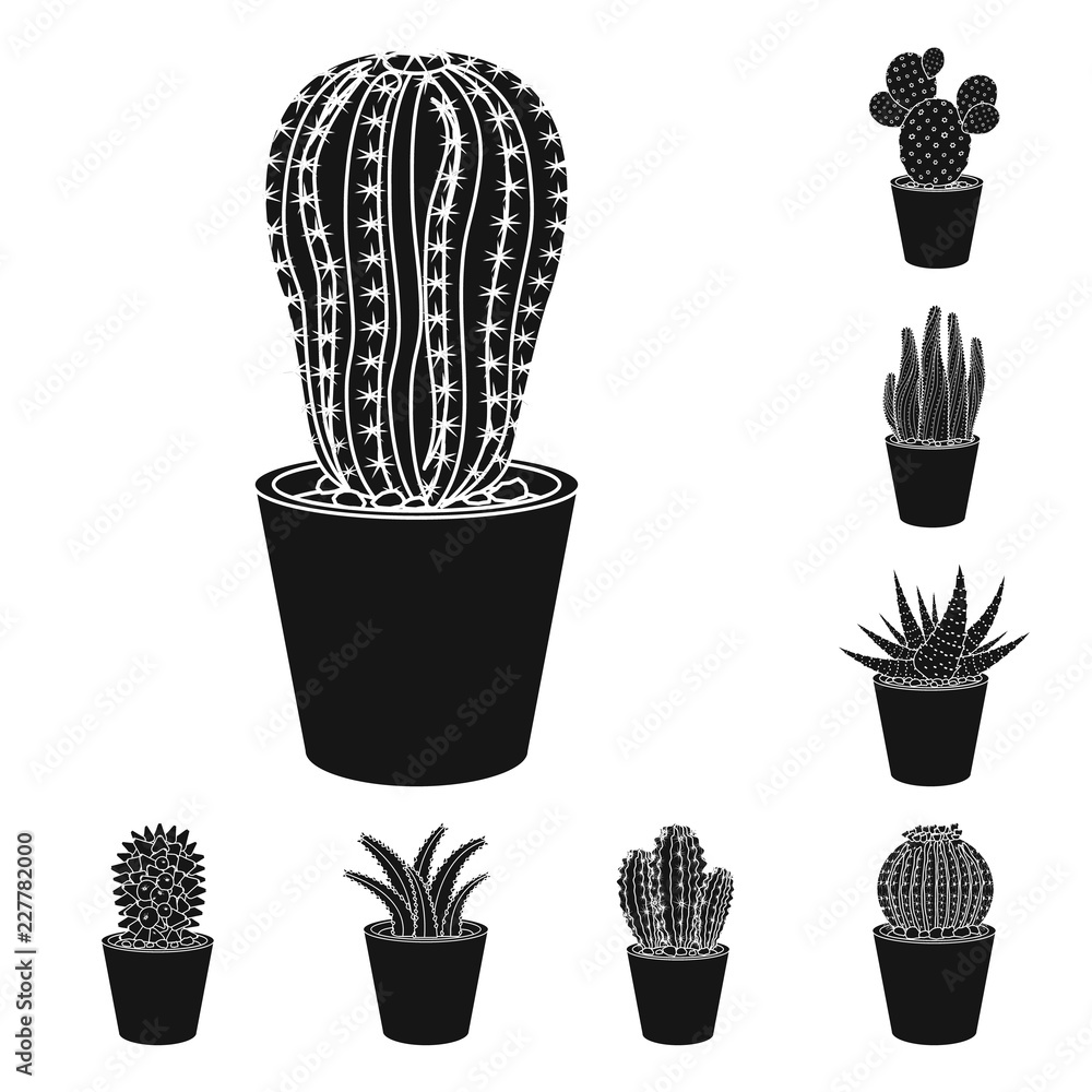 Fototapeta Isolated object of cactus and pot symbol. Set of cactus and cacti stock vector illustration.