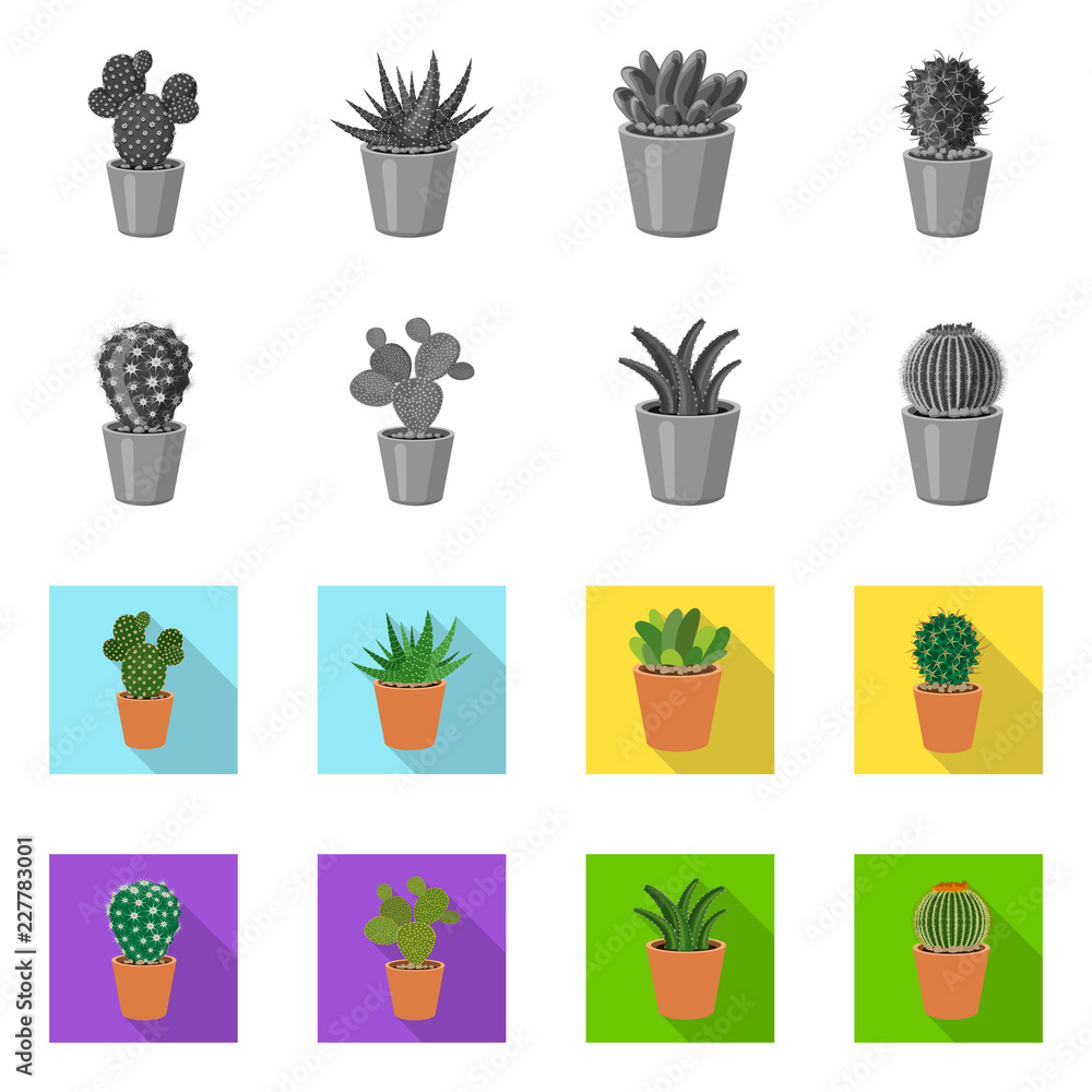 Vector design of cactus and pot icon. Collection of cactus and cacti stock vector illustration. Vector design of cactus and pot icon. Collection of cactus and cacti stock vector illustration.