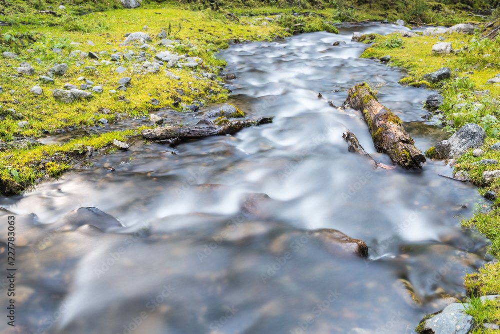 beautiful streams in the forest beautiful streams in the forest