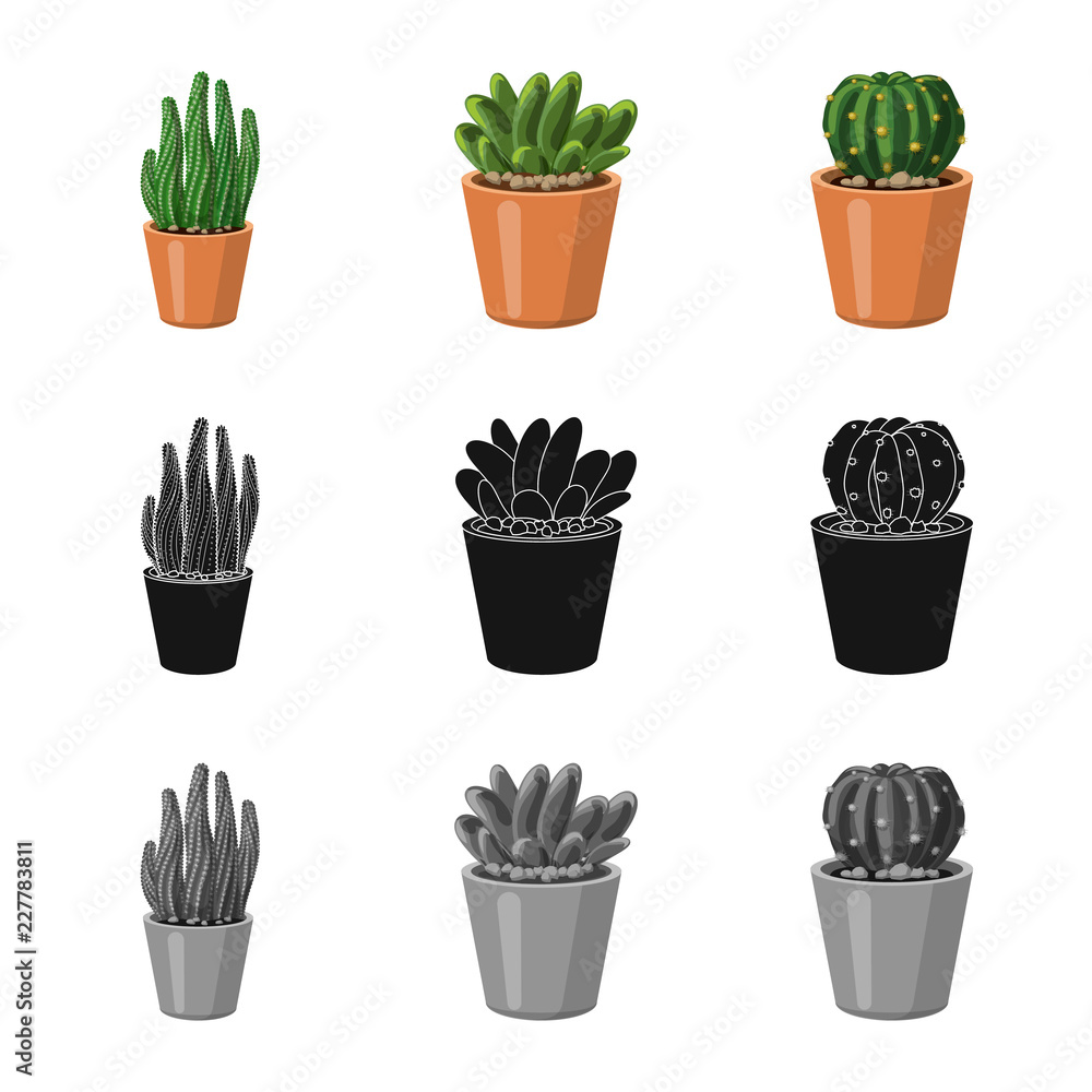 Fototapeta Isolated object of cactus and pot icon. Set of cactus and cacti stock symbol for web.
