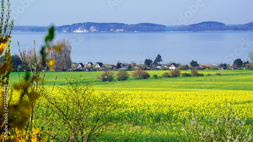 Insel Rügen - Blick vom Bobbiner Tempelberg photo