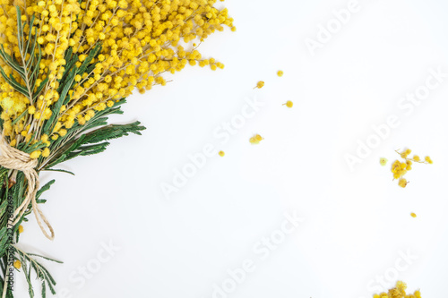 bouquet of yellow mimosa on white background