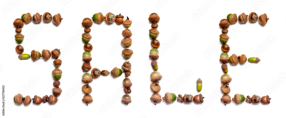 Word sale is laid out of acorns Word sale is laid out of acorns