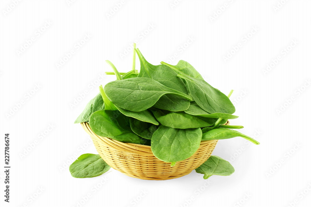 green spinach leaves isolated closeup in basket on white background green spinach leaves isolated closeup in basket on white background