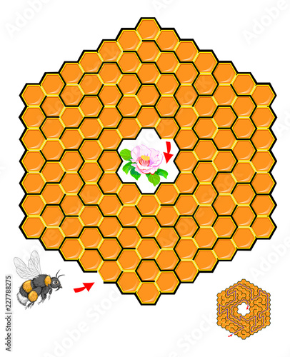 Logic puzzle game with labyrinth for children and adults. Help the bumblebee find the way in the honeycomb till flower and draw the line. Vector cartoon image.