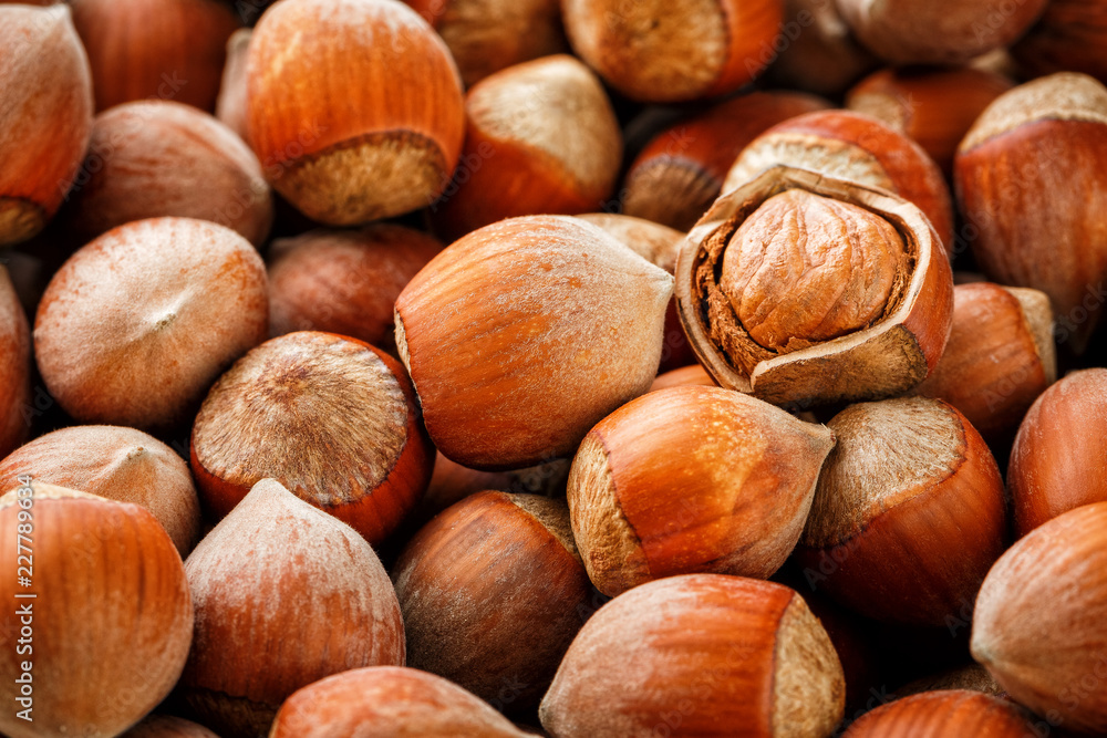 Hazelnuts. Stack of hazelnuts. Food background. Hazelnut background. Hazelnuts in shells background Hazelnuts. Stack of hazelnuts. Food background. Hazelnut background. Hazelnuts in shells background