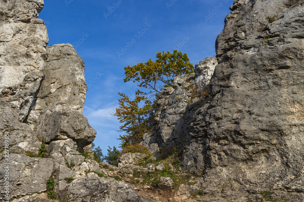 Golden Poland Autumn, mountain Zborow, Poland Golden Poland Autumn, mountain Zborow, Poland