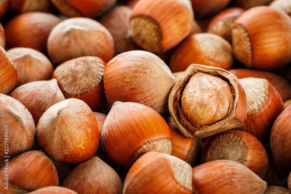 Hazelnuts. Stack of hazelnuts. Food background. Hazelnut background. Hazelnuts in shells background Hazelnuts. Stack of hazelnuts. Food background. Hazelnut background. Hazelnuts in shells background
