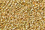 raw green buckwheat background, organic vegan food. Texture