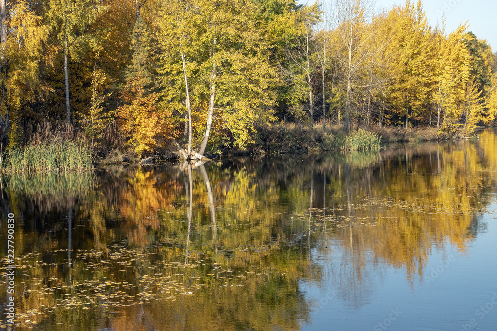 Fototapeta premium Fall colors