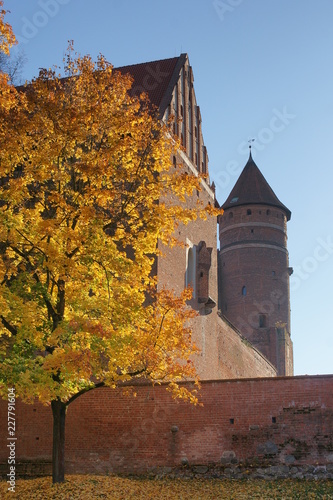 Zamek Kapituły Warmiskiej photo