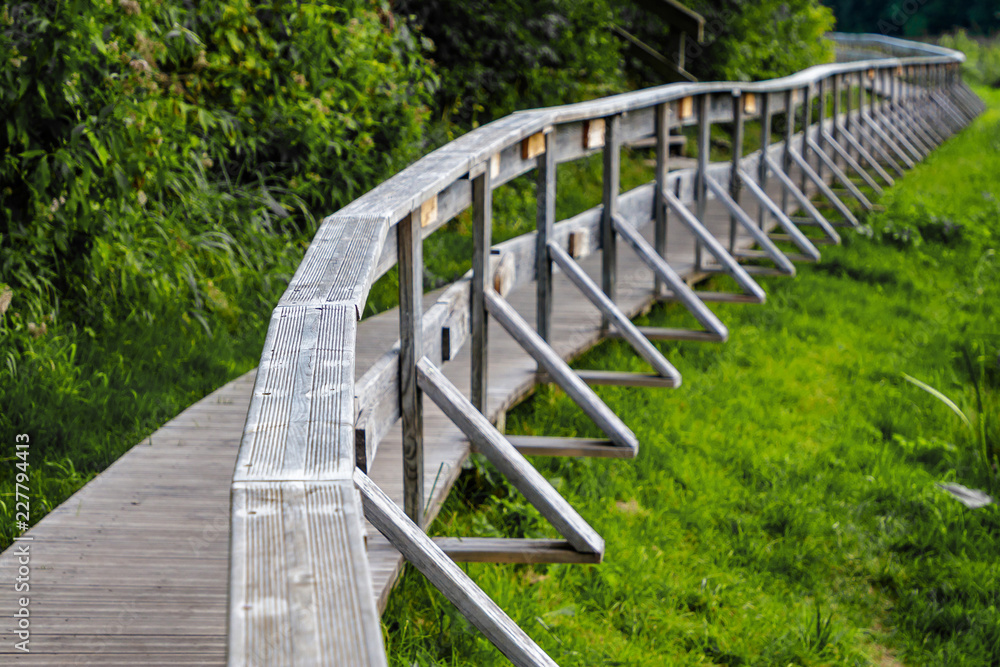 Fototapeta premium wooden bridge to go up