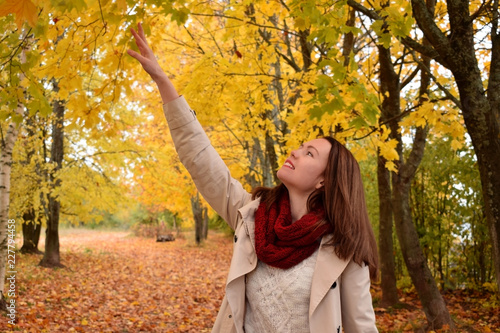 Young beautiful woman is reaching for a yellow maple leaf in the autumn park