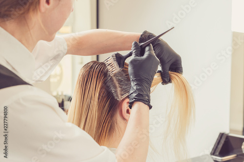 Obraz na plátně Female stylist applying a dye to the clients hair