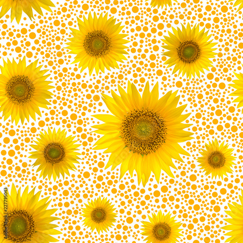 Fototapeta Naklejka Na Ścianę i Meble -  Seamless pattern with big bright sunflowers and dots on yellow background.