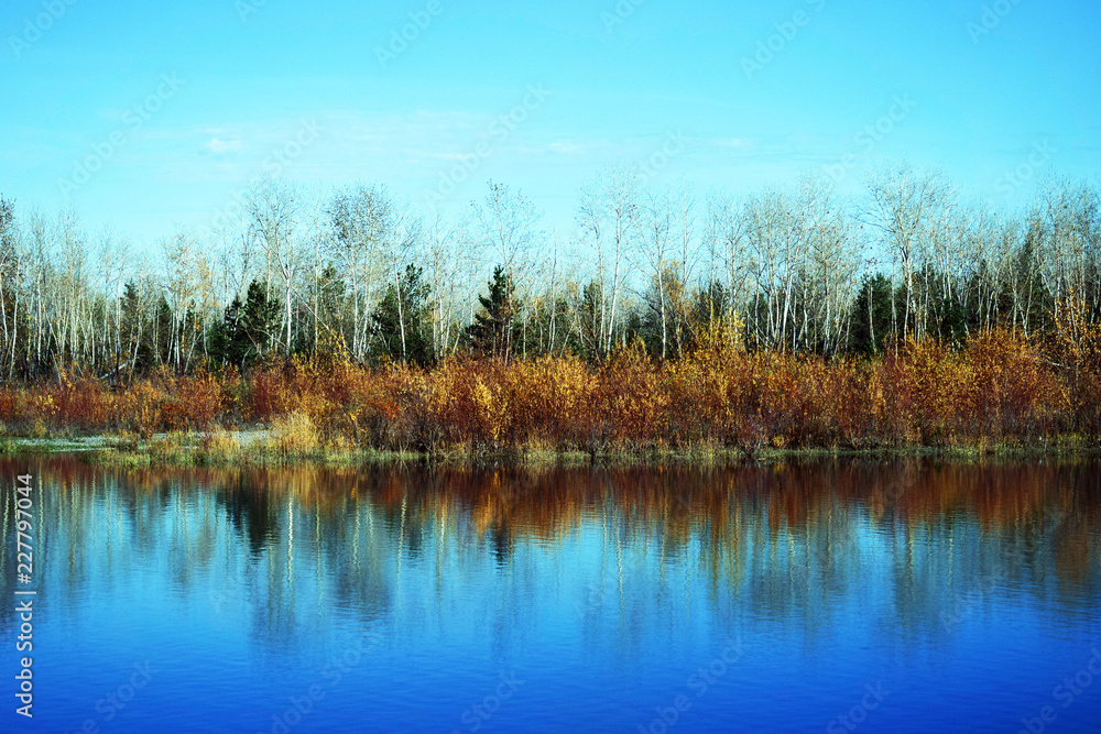 Reflection of trees in the water. Beautiful autumn forest. Natural pond. The surface of the water. Clear water in the river. Forest lake. Reflection of trees in the water. Beautiful autumn forest. Natural pond. The surface of the water. Clear water in the river. Forest lake.