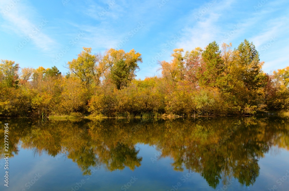 reflections of yellow autumn trees in a river. Blue sky and water, autumn forest, autumn colors reflections of yellow autumn trees in a river. Blue sky and water, autumn forest, autumn colors