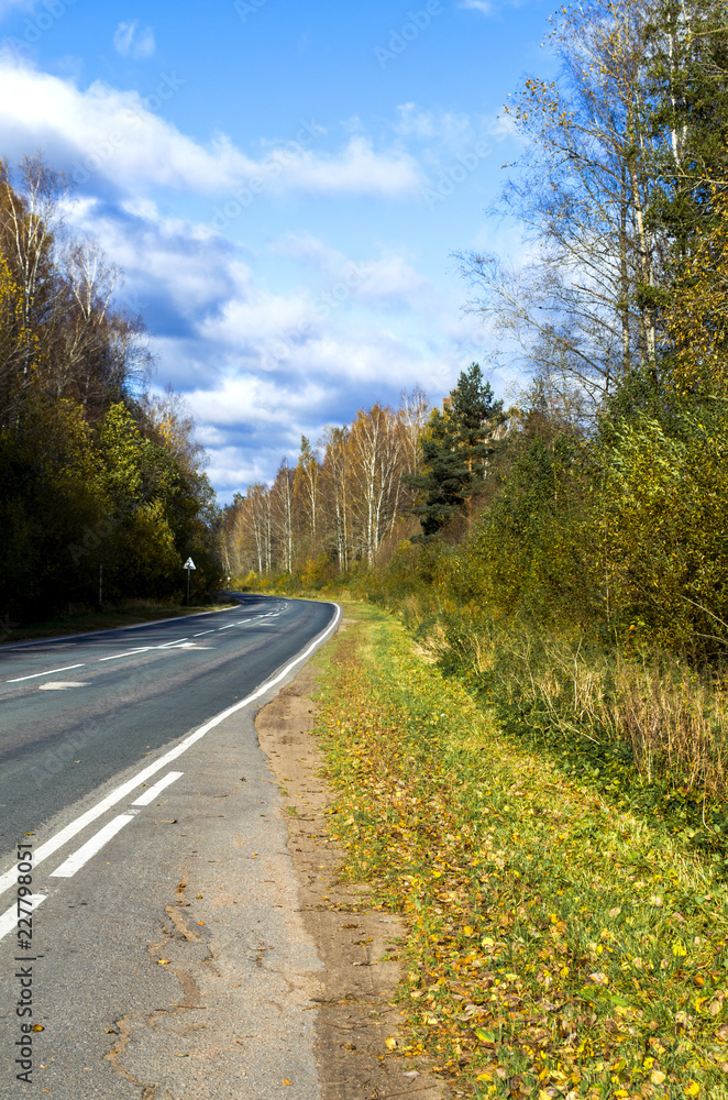 Fototapeta premium The road passes through the autumn forest