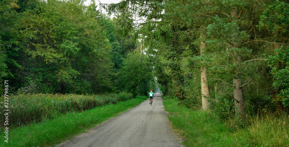 Fototapeta premium Man biking in the Perlacher Forst, panoramic view
