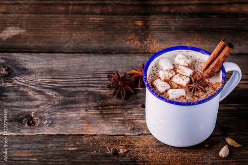Hot cocoa drink with cinnamon and marshmallows.