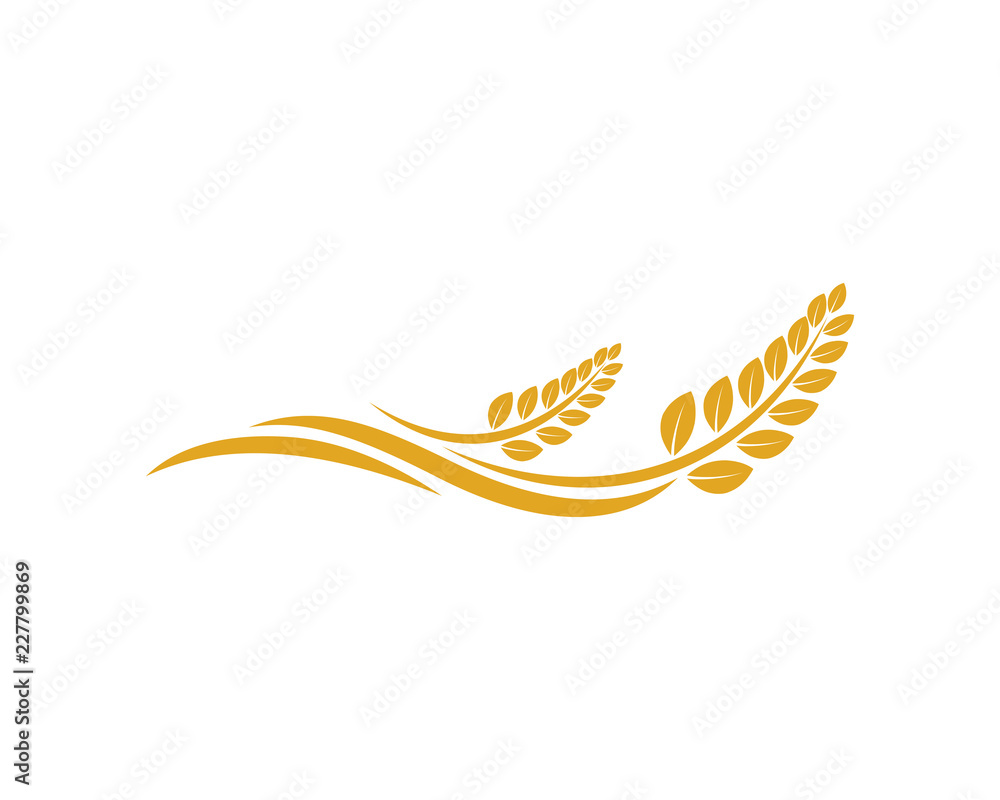 Vector Growing Plant Agriculture wheat Grain Sign Symbol Icon Logo Template Design Inspiration