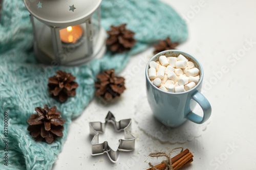 The concept of the New year and Christmas 2019. Cocoa with marshmallows. Plaid, burning candle. On a white background with snowflakes. Christmas trees, cones, cinnamon sticks. Decor. Postcard