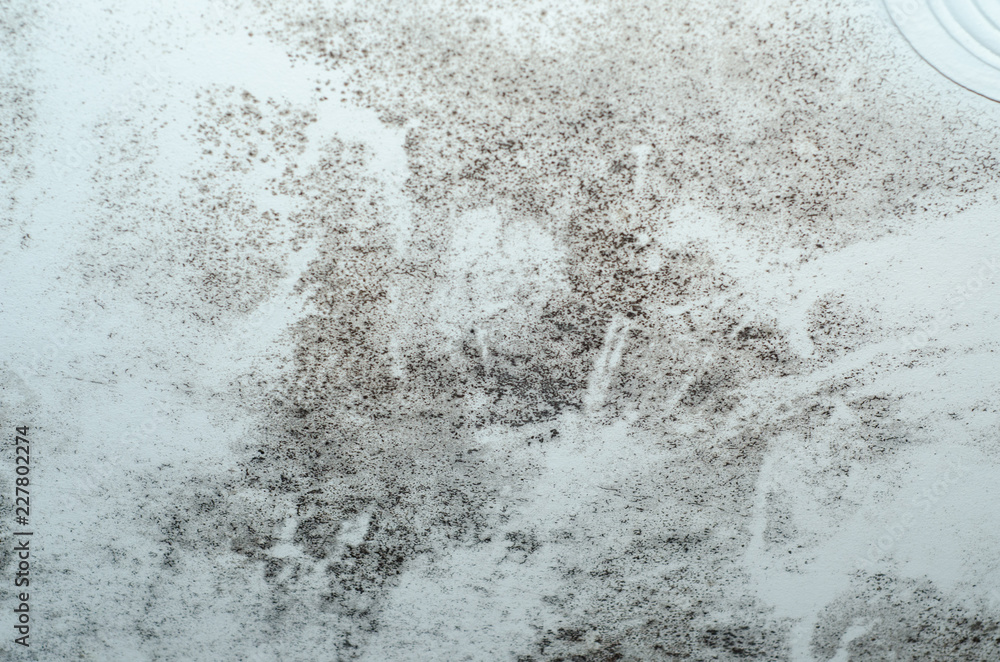 Ceiling mold is unsightly unhealthy Ceiling mold is unsightly unhealthy