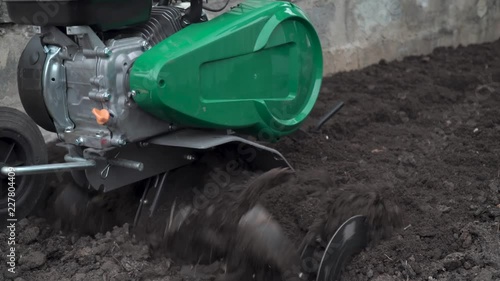 Wallpaper Mural Planting potatoes under the walk-behind tractor. Man with motor-block in the garden.cultivator digs the ground Torontodigital.ca