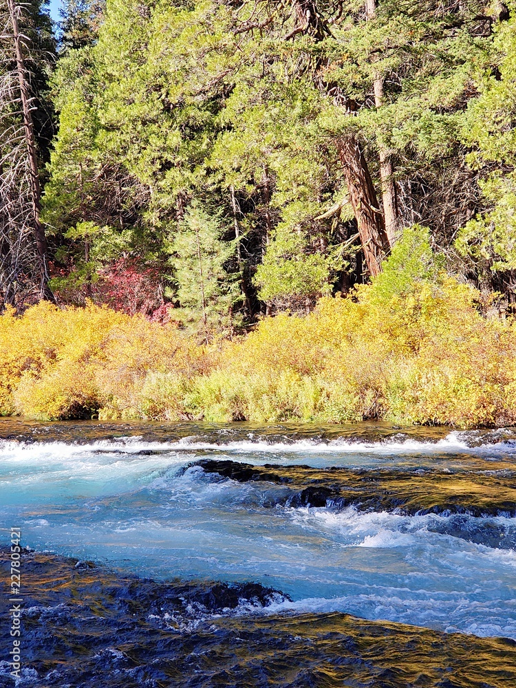 Stunning fall colors on the riverbanks of the turquoise waters of the Metolius River at Wizard Falls in Central Oregon on a sunny autumn morning. Stunning fall colors on the riverbanks of the turquoise waters of the Metolius River at Wizard Falls in Central Oregon on a sunny autumn morning.