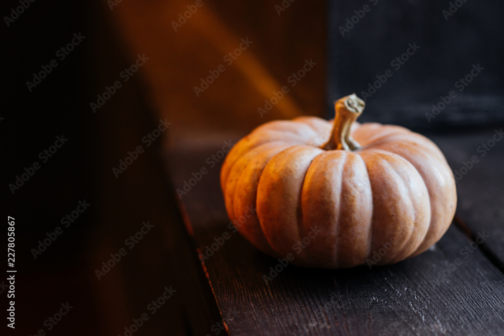 halloween pumpkin on wooden background