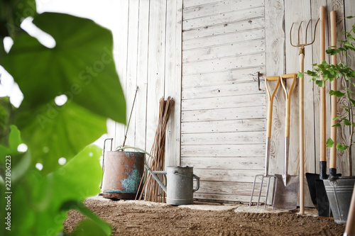 gardening tools on wooden white wall, equipment for vegetable garden , copy space background photo