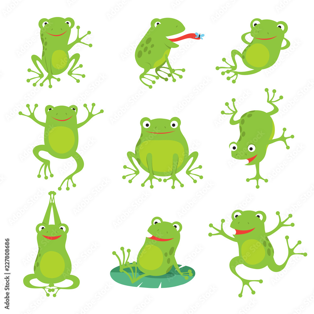 Cute Pastel Frog Cartoon Graphic · Creative Fabrica