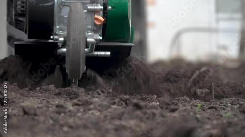 Planting potatoes under the walk-behind tractor. Man with motor-block in the garden.Cultivator digs the ground