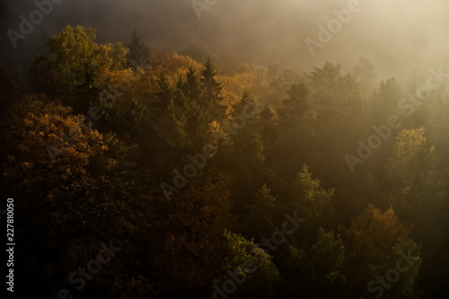 Early morning above the autumn forest