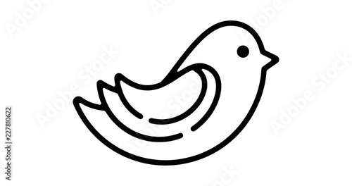 Bird line icon motion graphic animation with alpha channel.