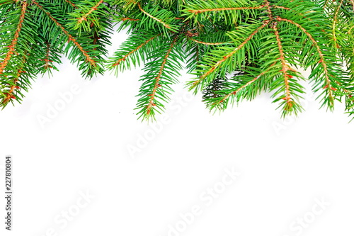 Decorative Christmas frame. Upper ornament from the natural green branches of spruce with empty space for text on white background