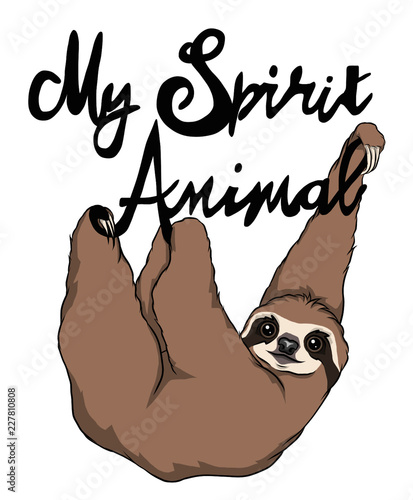 Cute lazy Sloth
