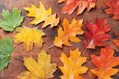 Autumn backdrop with colorful leaves