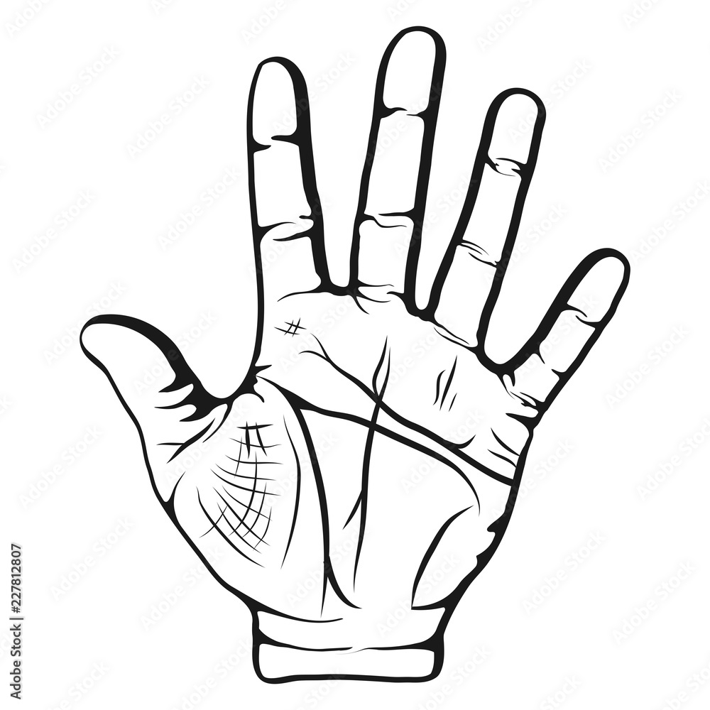Five fingers of a hand Royalty Free Vector Image